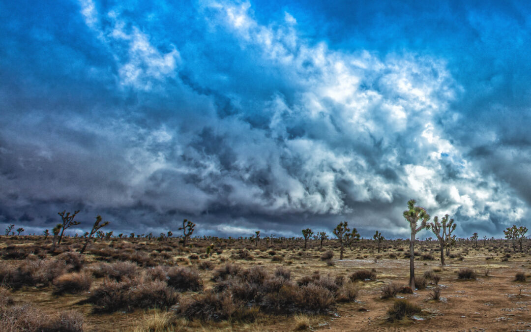 high desert land sales, high desert land realtor