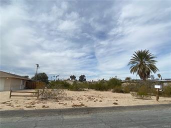29 palms