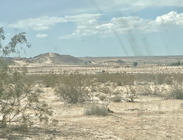 5 Acres 29 Palms Land