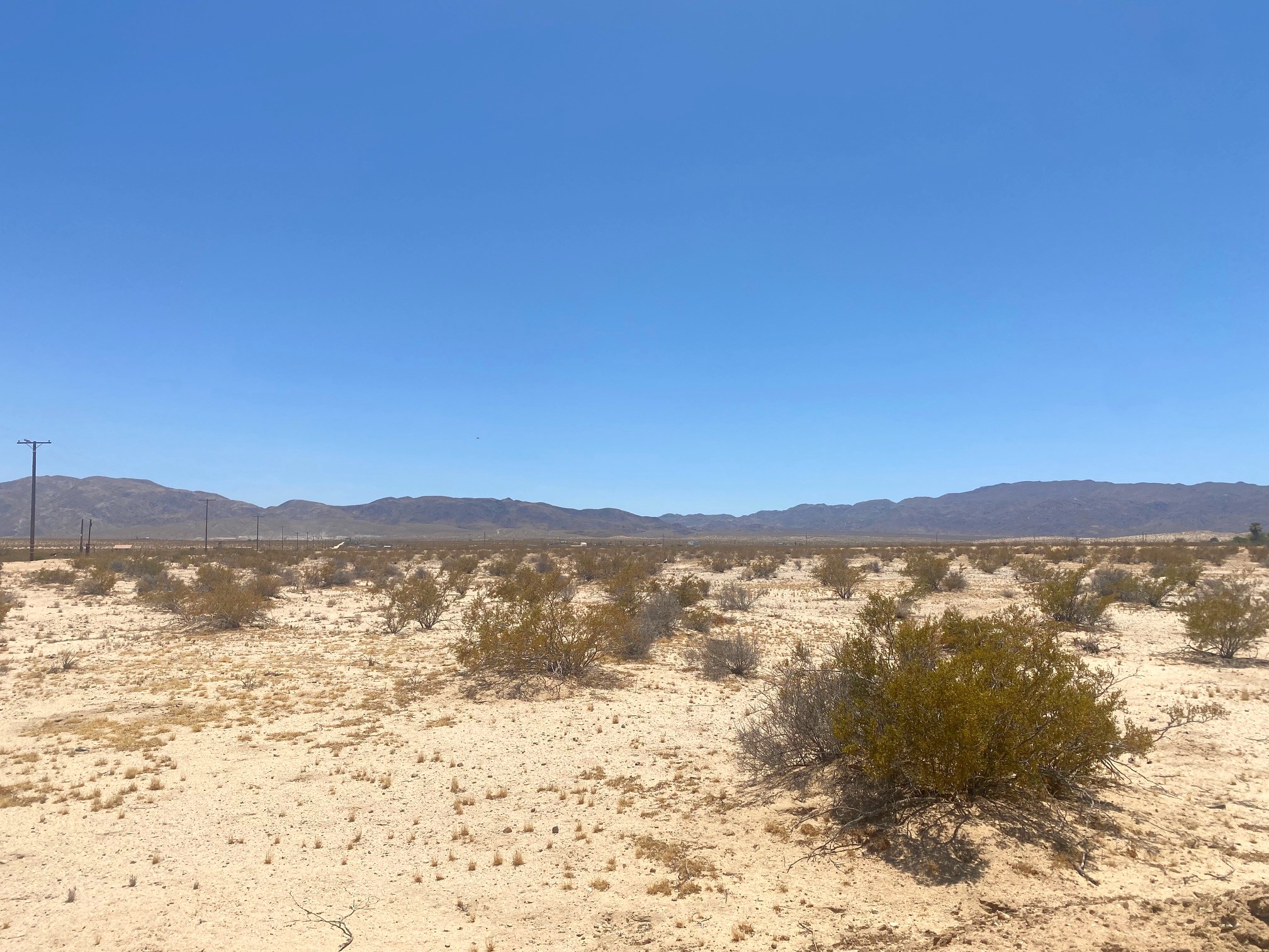 Mojave Road Mojave Road