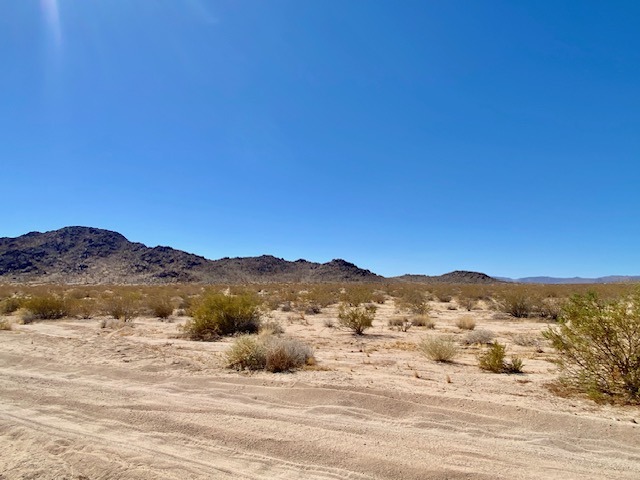 front Joshua Tree land for sale